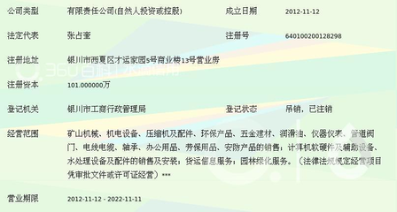 宁夏业金科工贸有限公司与宁夏工贸发展探析